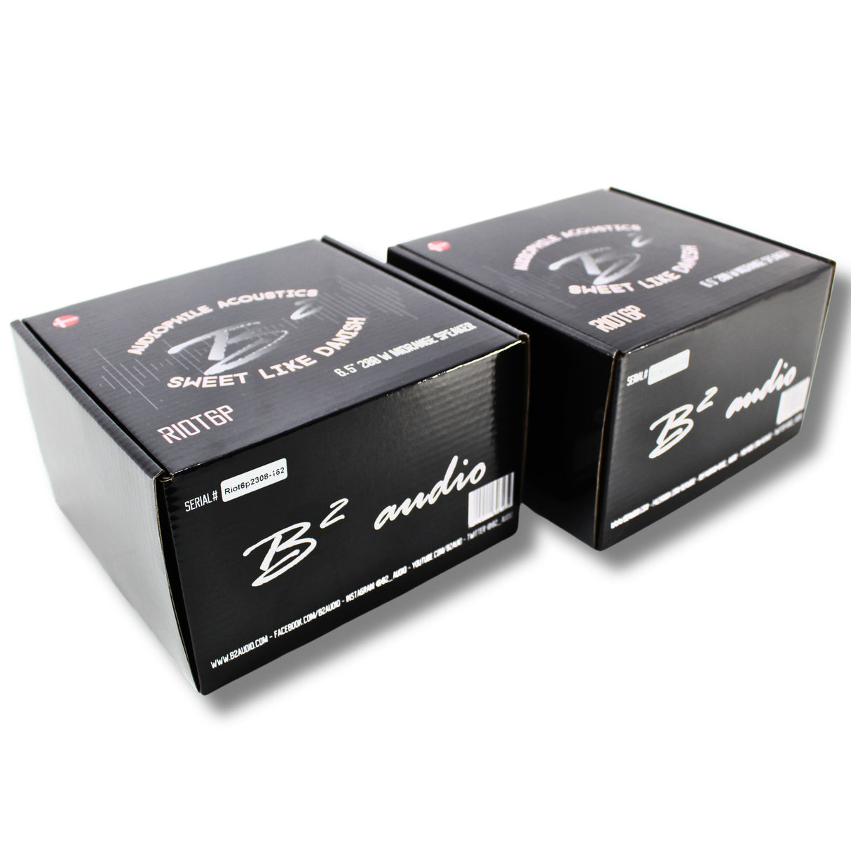 B2 Audio RIOT Series 6.5" 4-Ohm 100W RMS Mid-Range Speakers UV-Coated Cone, Sold in Pairs RIOT6P