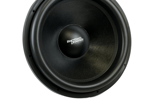 Platinum Series 18 2000rms Woofer