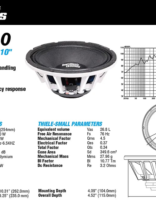 Resilient Sounds NEO 10" inch speaker