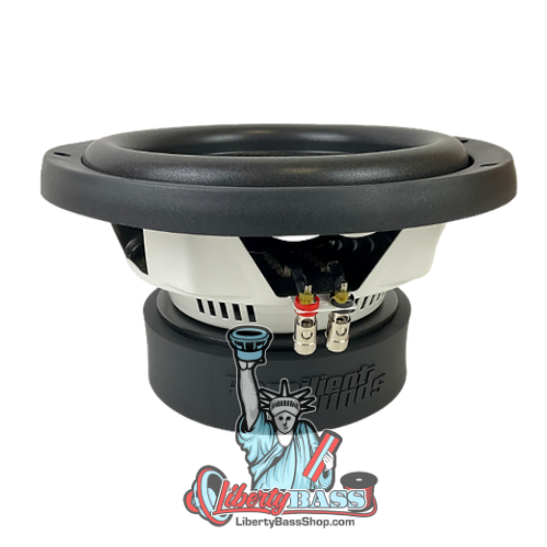 Resilient Sounds Entry level v2 10 inch Subwoofer