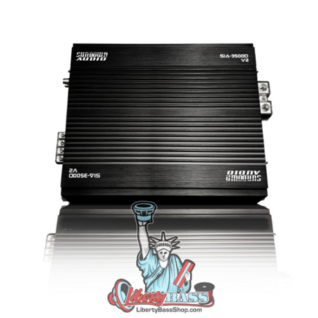 Sundown Audio SIA-3500D v2 Full-Range Mono Amplifier