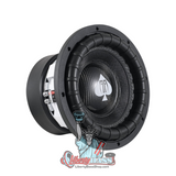 Audio Ace WILD 12" Subwoofer