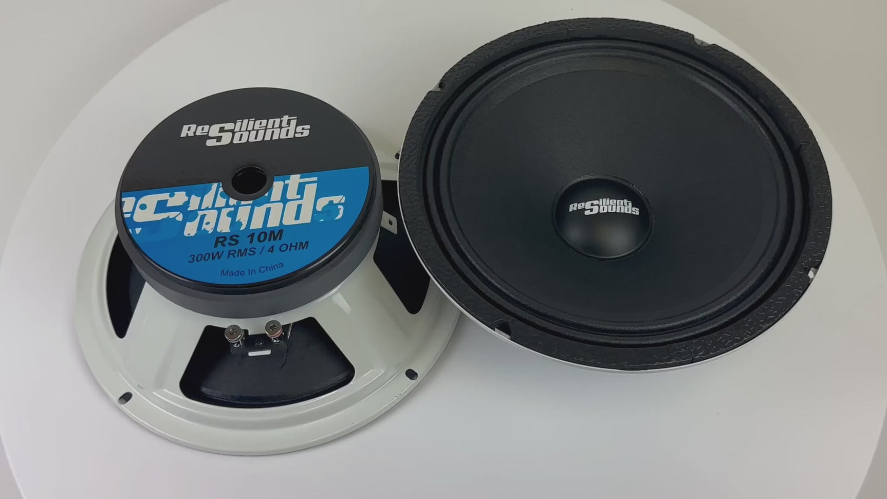 Resilient Sounds 10M 300w RMS 4ohm 10"speaker